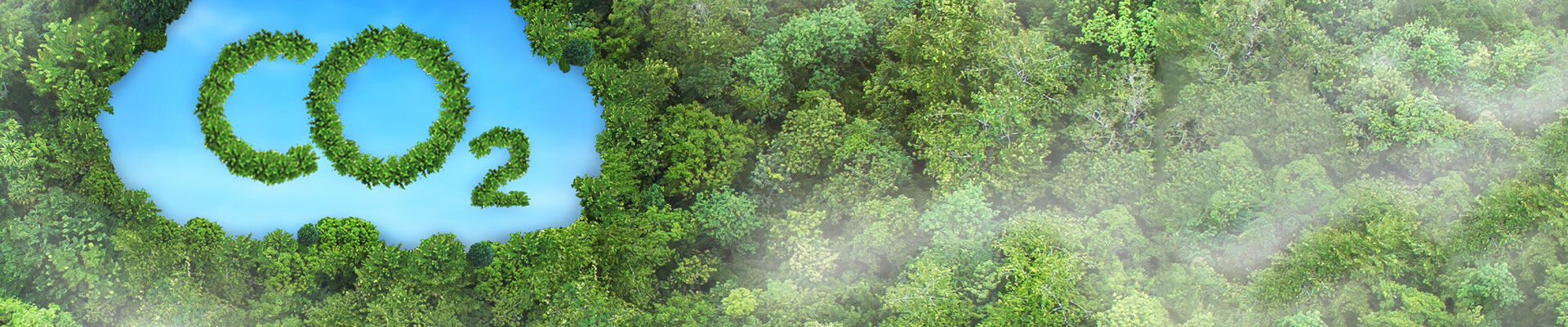 CO2-reductie in de praktijk: 5 vragen en antwoorden