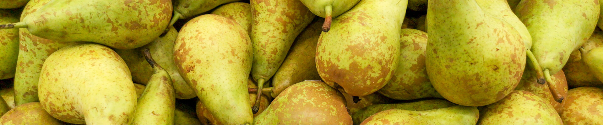 Nieuwe stap: exportverpakking voor peren naar China