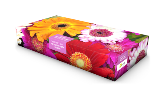 Bloemen