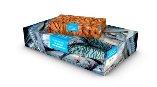 Fish and shrimp