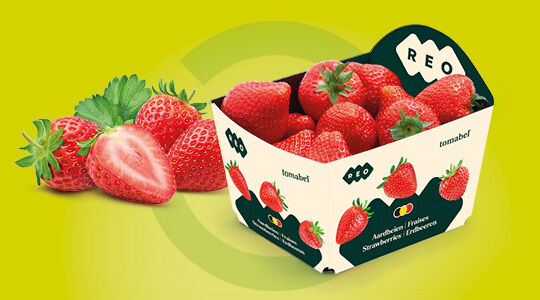 Hoe REO met de juiste verpakking de kwaliteit van groenten en fruit waarborgt