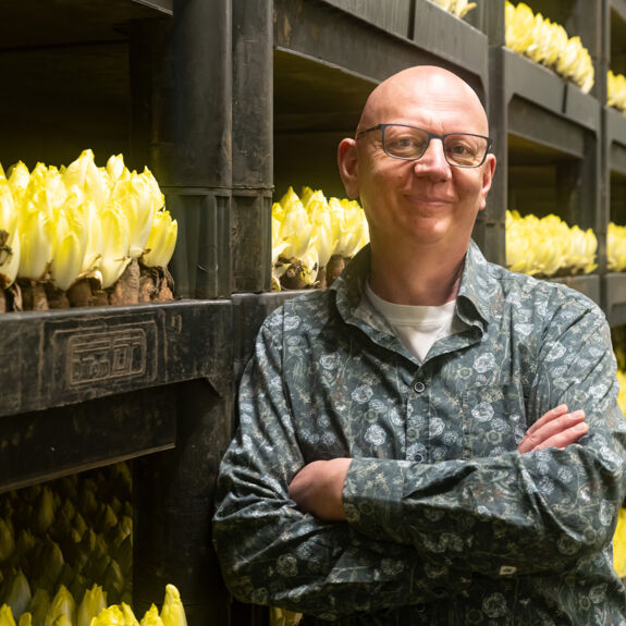 Bart Bruyninckx, propriétaire de Bruyninckx Chiconnettes