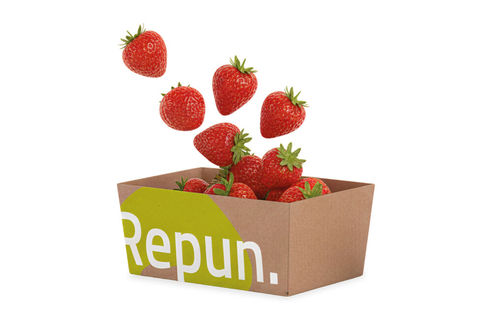 repun-hero.original