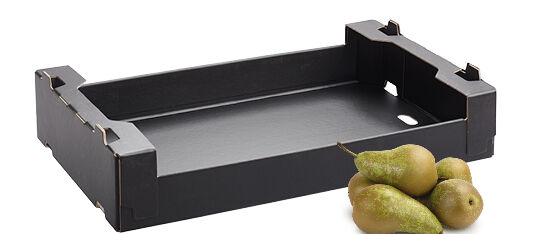 7500875-Nieuwsbericht-Perentrays-beeld-extra-a-540x300
